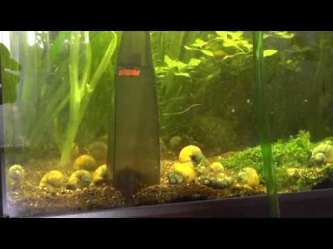 Watch Video on YouTube