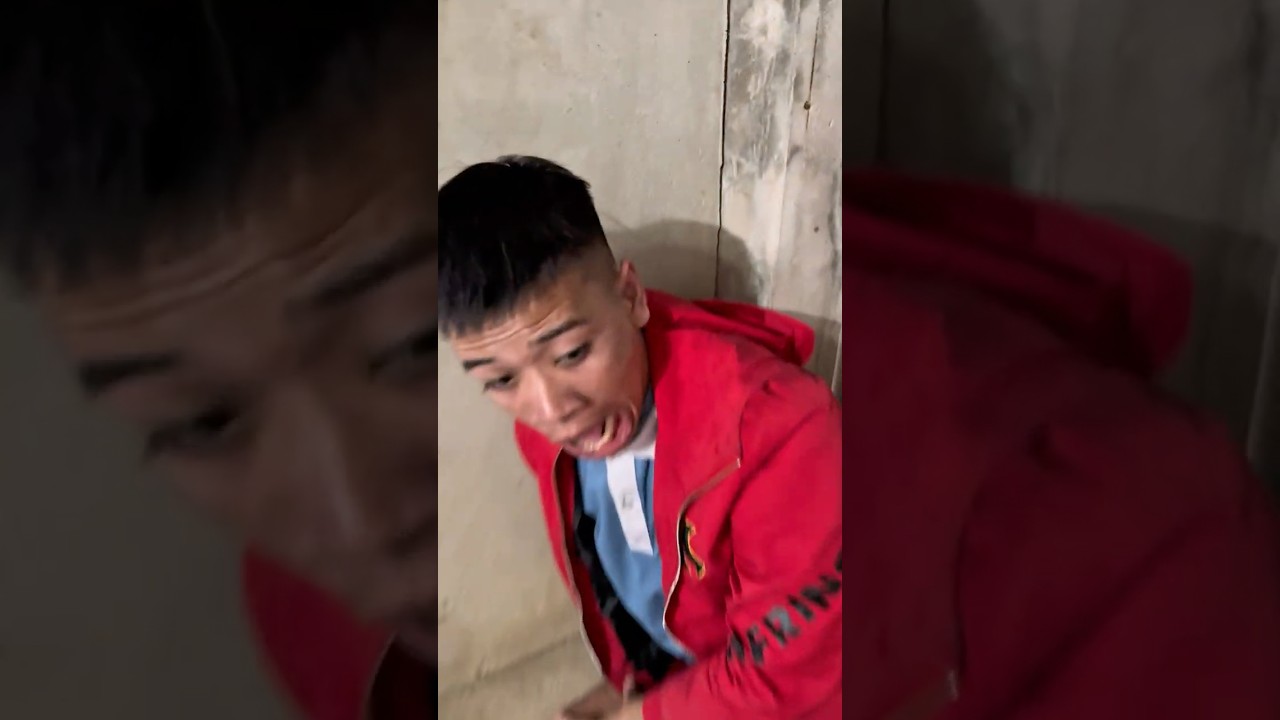 The Terrifying Snake Mystery That Haunts Me#SnakeMystery#TerrifyingSnake