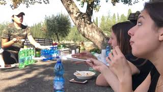 Cultural Programming Activities Intro - NYU Florence