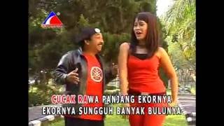 Download lagu Cucak Rowo - Endang (Dangdut House Version) mp3