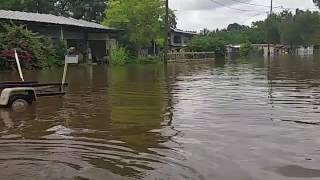 2016 Flood Waters in Holiday Lakes, Texas #3