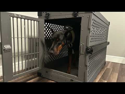 Collapsible Impact Crate Review