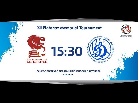 «Белогорье» - «Динамо - ЛО»