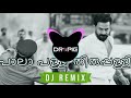 DJ Dropie Pala Palli Remix Kaduva