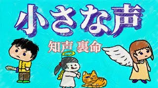 - 小さな声【知声,裏命】