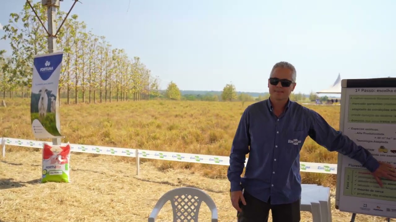 Fundamentos para escolha, implantação e condução do componente florestal na ILPF – Maurel Behling