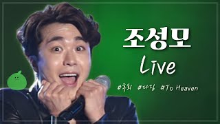 🍏조성모 라이브 모음 : 끊김 없이 보는 콘서트 풀영상