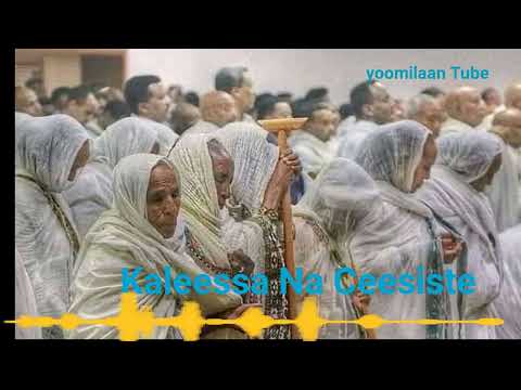 Faaruu Afaan Oromoo."Kaleessa na Ceesistee"
