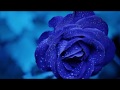 Henry Mancini - Royal blue