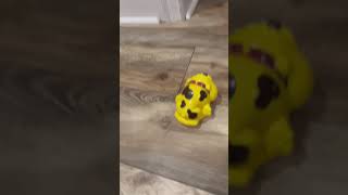 Dog for Fraidy Cat Game