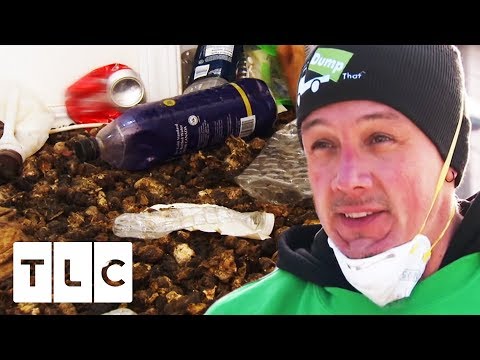 Team Refuses To Clean "Biohazard" House Full Of Dog Faeces | Hoarding: Buried Alive