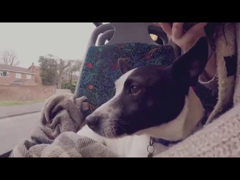 Nottingham City Transport: April Fools' Day 2016