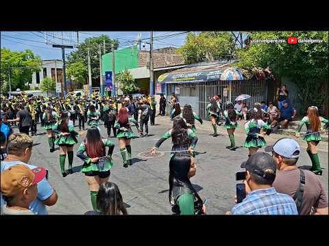 Debut Cocodrilos Vanguard Harmony | Desfile del Correo | Ciudad Delgado | 19/07/2026