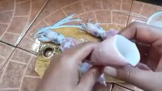 Download lagu Cumi cumi viral buat bahan mp3