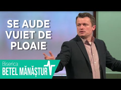 Se aude vuiet de ploaie | Adrian Tămaș