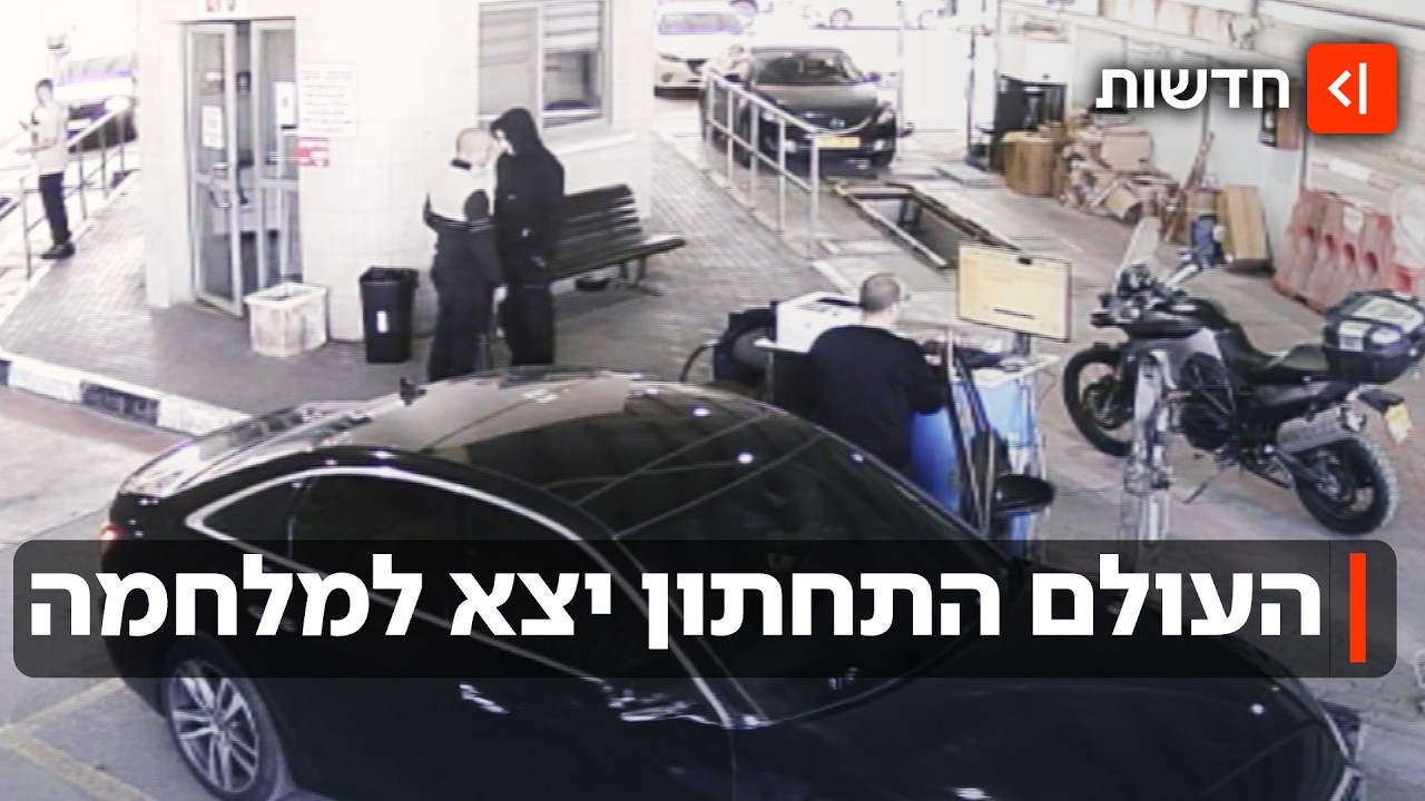 באקדחים שלופים וכלבי תקיפה: עבריינים יצאו לקרב בלב העיר אשקלון