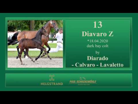 13 Diavaro Z by Diarado - Calvaro Z - Lavaletto