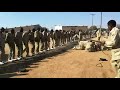 ZCC Mokhukhu Botswana11