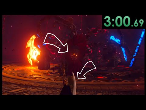 BotW AMATURE tries to speedrun the BOSS RUSH using CORRUPT WEAPONS!?
