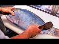 Japanese Street Food GIANT TUSKFISH Sashimi Okinawa Seafood Japan