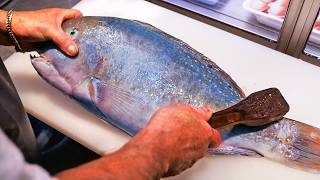 Download lagu Japanese Street Food - GIANT TUSKFISH Sashimi Okinawa Seafood Japan mp3 Download lagu Japanese Street Food - GIANT TUSKFISH Sashimi Okinawa Seafood Japan mp3