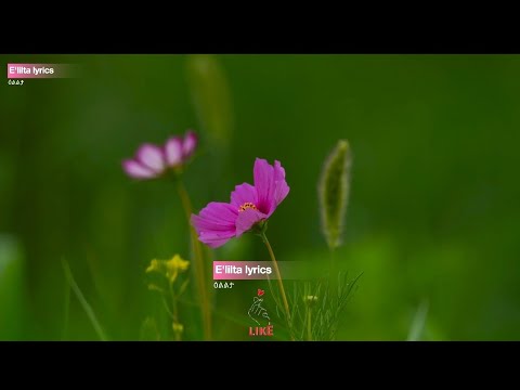 Mahlet Gebrgiorgis Emhlelu lyrics - ማህሌት ገብረጊዮርጊስ እምሕለሉ #ethiopianmusic