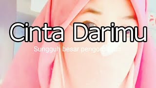 Download lagu PUISI CINTA DARIMU mp3