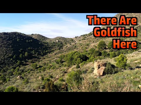 Hiking to Fuente de la Alameda, Murcia, Spain