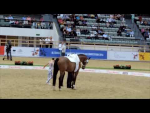 KCM Vaultinghorses Bram wins pas de deux Doha with Lucas Wacha and Jasmin Lindner