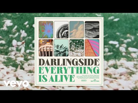Sea Dogs - Darlingside