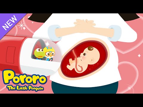 Baby Bump Song | Mommy Got A Baby! | Pororo's Body Exploration | Pororo English