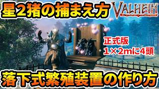 【Valheim】正式版 星2猪の捕まえ方と落下式繁殖装置の作り方【ヴァルヘイム】