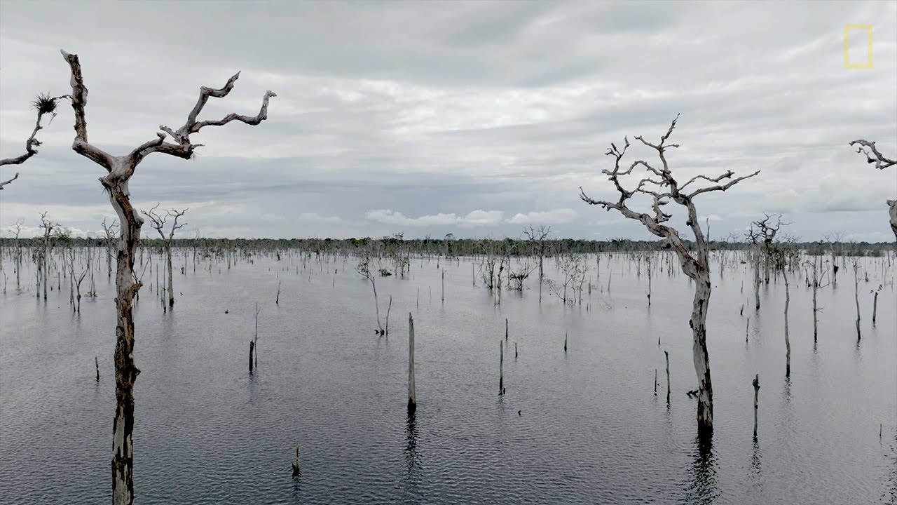 Ciência indígena e crise climática | Sistema Agrícola Tradicional do Rio Negro