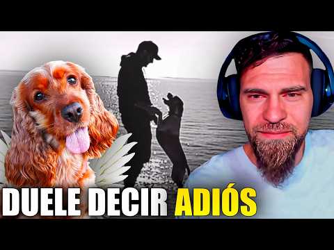 😭 SHÉ ¨QUÉDATE¨ 💔 [ MARK MIRANDA REACCIÓN y ANÁLISIS ]