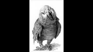 Bonzo Dog Band - Mr. Slater's Parrot (Outtake)