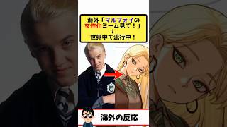 海外「マルフォイ女性化させたから見て！」→世界中がツンデレ令嬢の虜と話題！