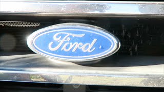 FOUND ON ROAD DEAD!!!