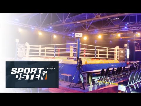 Boxen-Webshow vom Kampfabend aus Chemnitz| Sport im Osten | MDR