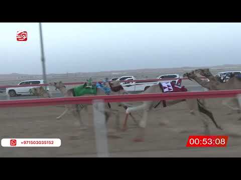  ش 3 (الغاليه) لـ حمد مبخوت بن عيل المنهالي 2:08 ، شارة الصندوق 2026/07/13 فطامين الروضة