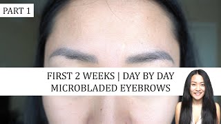 FIRST 2 WEEKS | DAY BY DAY | MICROBLADED EYEBROWS | PART 1