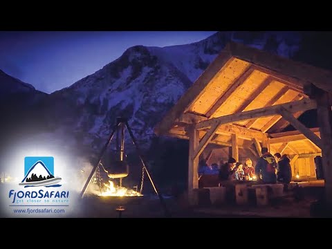 FjordSafari | Tours & activities 2020