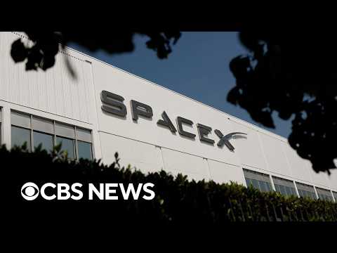 SpaceX surpasses expectations in first earnings report since going public