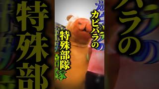 【珍作戦】『カピバラ』に扮した警察官→麻薬密売人の家を訪問！？ペルー警察の独特すぎる摘発作戦とは #shorts