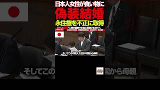【北村晴男】②「結婚→永住権→離婚→家族呼び寄せ」国会で暴かれた制度の盲点#北村晴男#日本保守党#国会質疑#移民政策#永住権#偽装結婚#重婚問題#入管法#外国人問題
