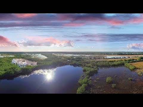 The Water School at FGCU |  Visit fgcu.edu/thewaterschool/ to learn more.