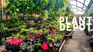 All the Houseplants at Plant Depot