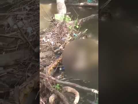Hallan cuerpo decapitado en Granada Meta dentro del río Guape