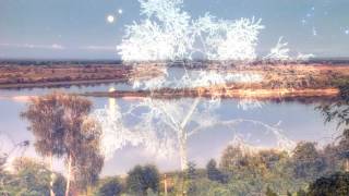 Carbon based lifeforms - betula pendula (Берёза повислая)