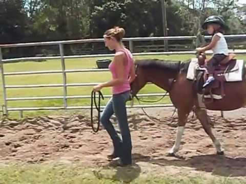 Hoppe hoppe Reiter ...