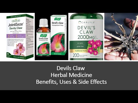 Devils Claw - Herbal Medicine - Benefits, Uses & Side Effects